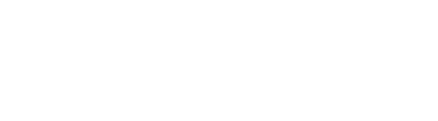 AG Holzmann